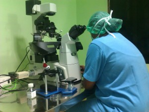 in vitro maturation in Pondicherry